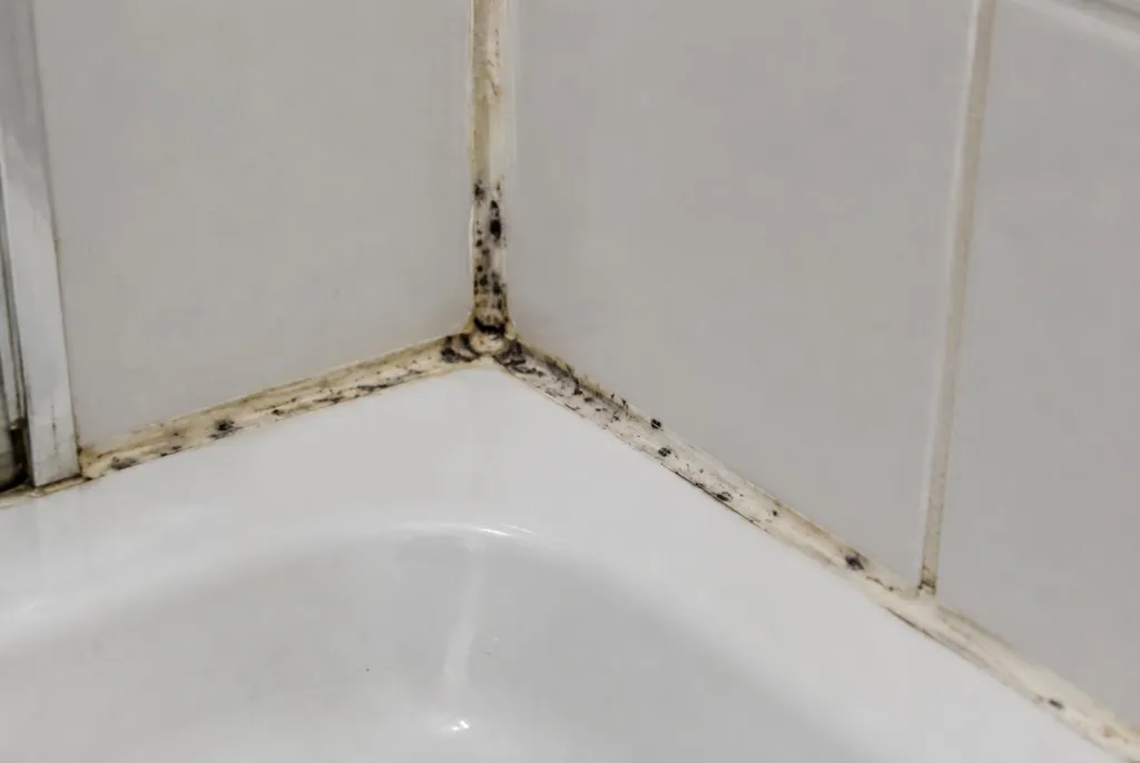 Kitbedrijf Zevenhoven – beschimmelde kitranden